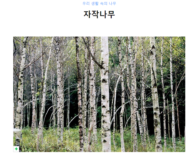 자작 나무를 이용한 인테리어 및 전원주택 마감소재 소개 : 정직을 짓는 세라하우징
