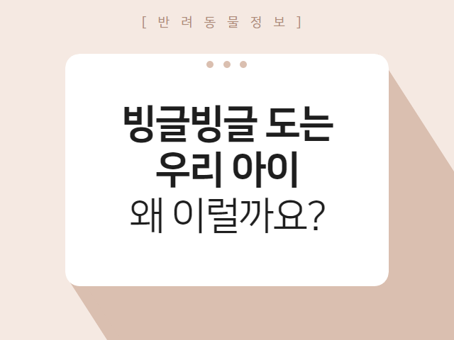 빙글빙글 우리 아이, 왜 이렇게 도는걸까요? : 반려동물정보