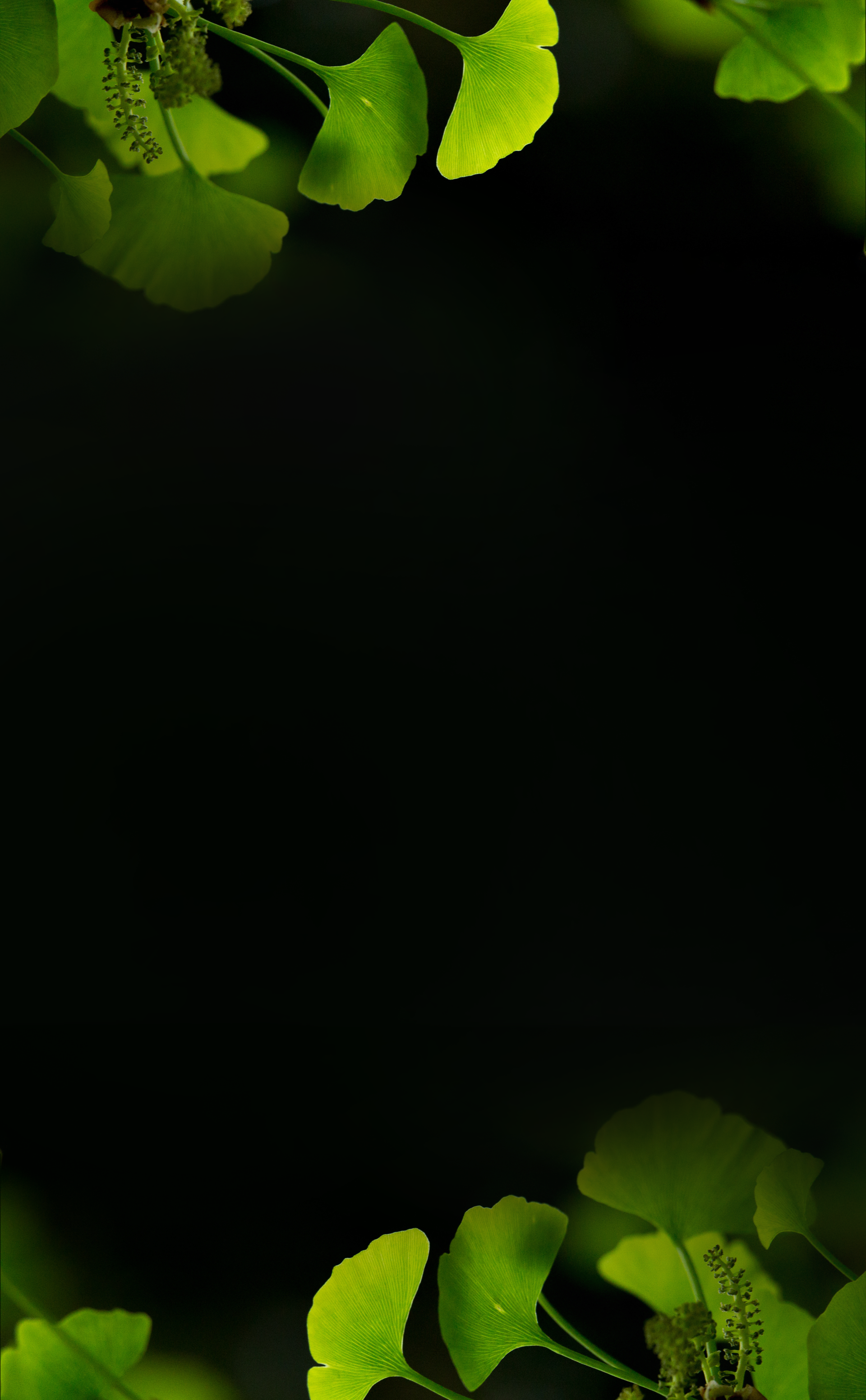 mobile background
