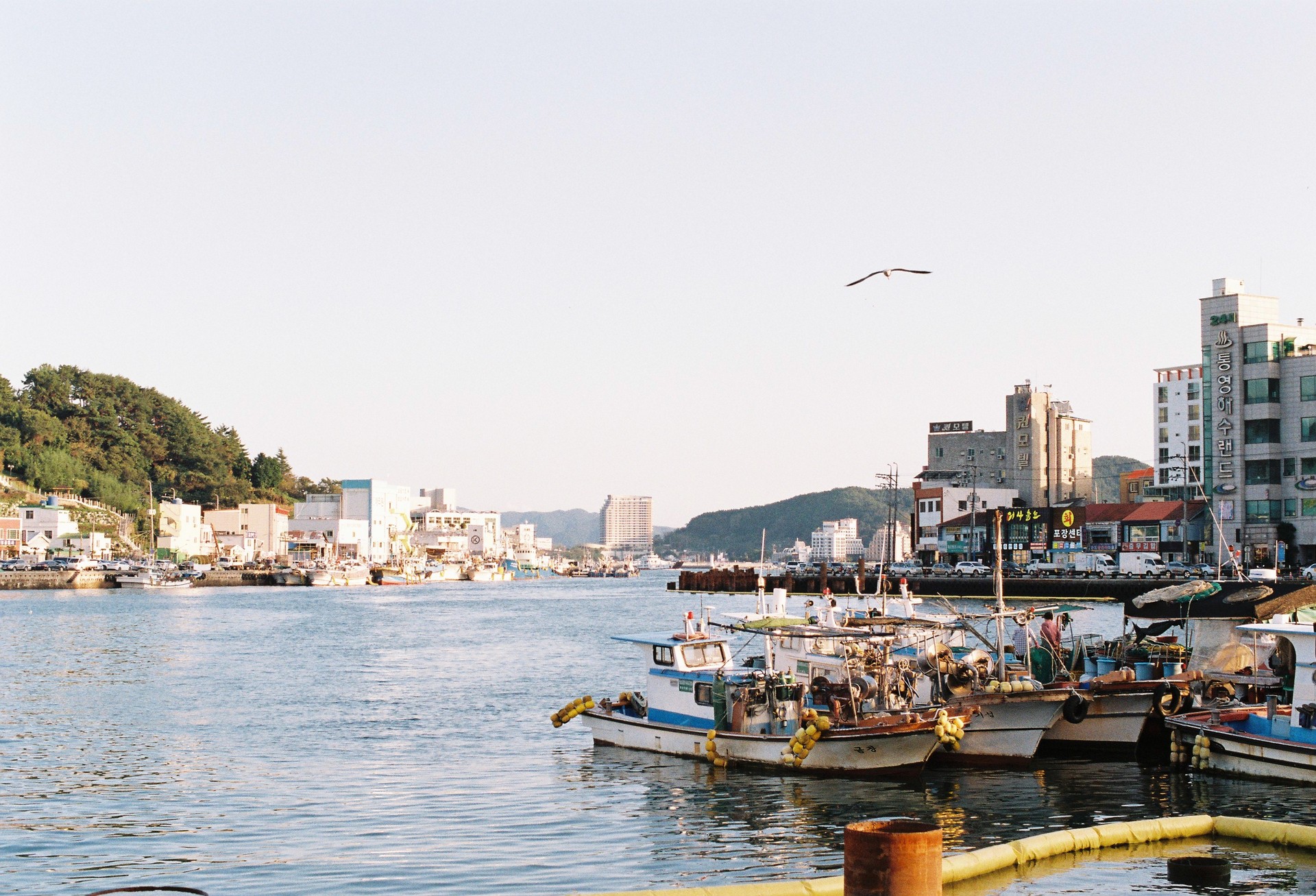 <span style="color: rgb(102, 102, 102); font-size: 11px; border-bottom:1px solid #999;">플리마켓, 쇼핑, 득템!</span>