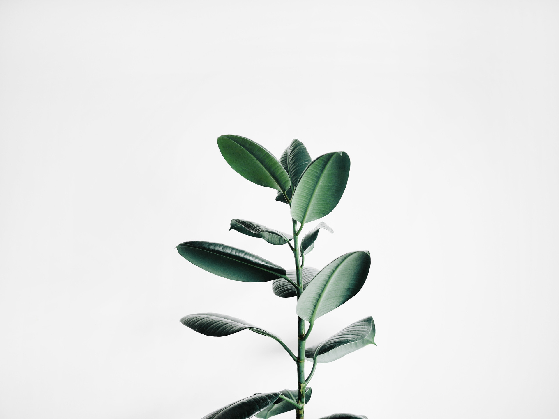mobile background