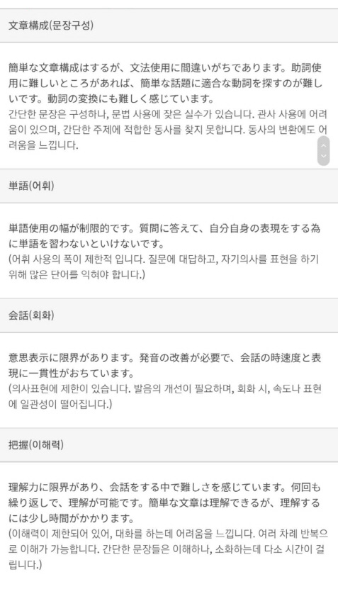 항목별 레벨 진단 예시