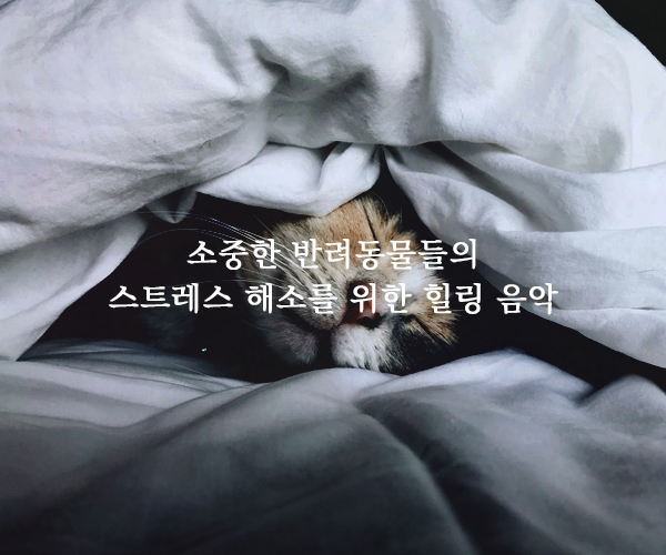 음악 들으러 가기