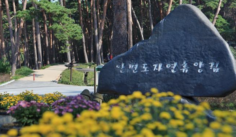 안면도자연휴양림
