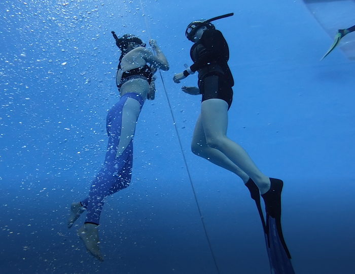 PADI 창원 프리다이빙 부산프리다이빙 마린 버블다이브 자격증 취득 Lv.1Lv.2 연속 교육 Lv.1 교육 Start~ PADI 창원 프리다이빙 부산프리다이빙 마린 버블다이브 자격증 취득 Lv.1Lv.2 연속 교육 Lv.1 교육 Start~