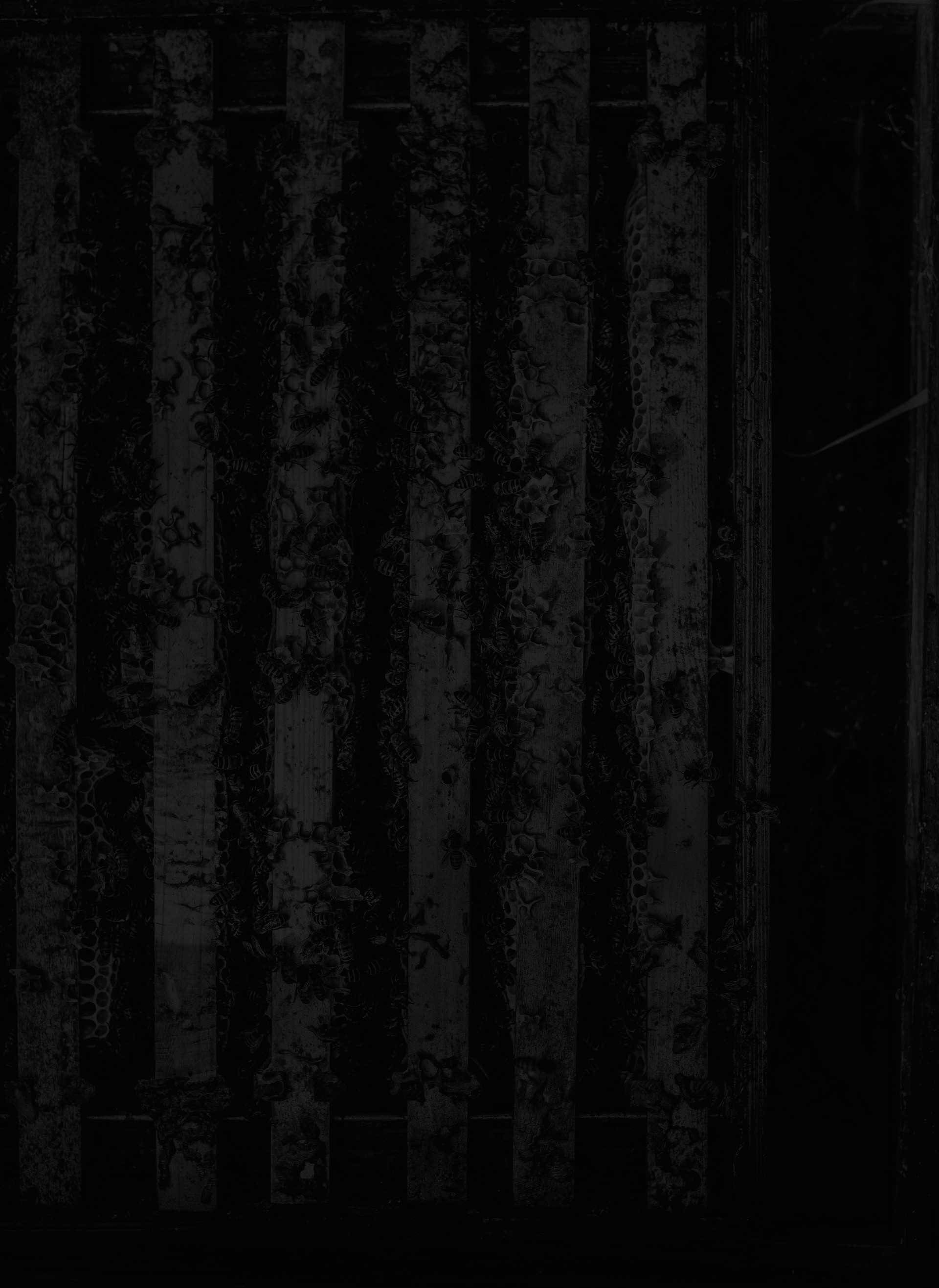 mobile background