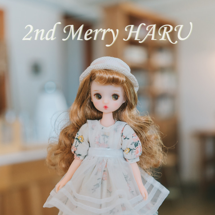MERRY HARU