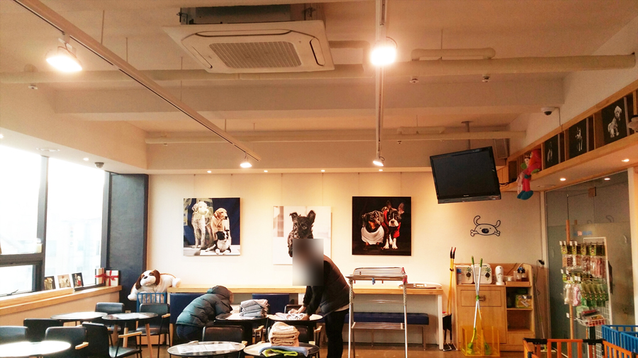 반려동물 동반이 가능한 카페키스톤스피시스(층별 안내) 4