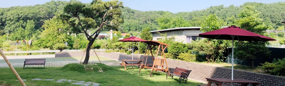 <h3 style="text-align:center";><b>백만송이 소식</b></h3>