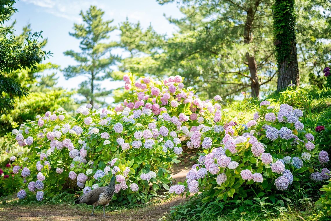 <span style="font-weight: bold; letter-spacing: 2px;">테마1</span><br><span style="font-size: 18px">아열대 식물원