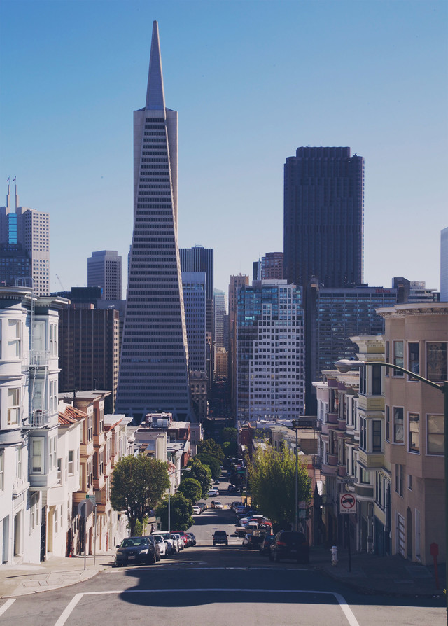 Urban Division