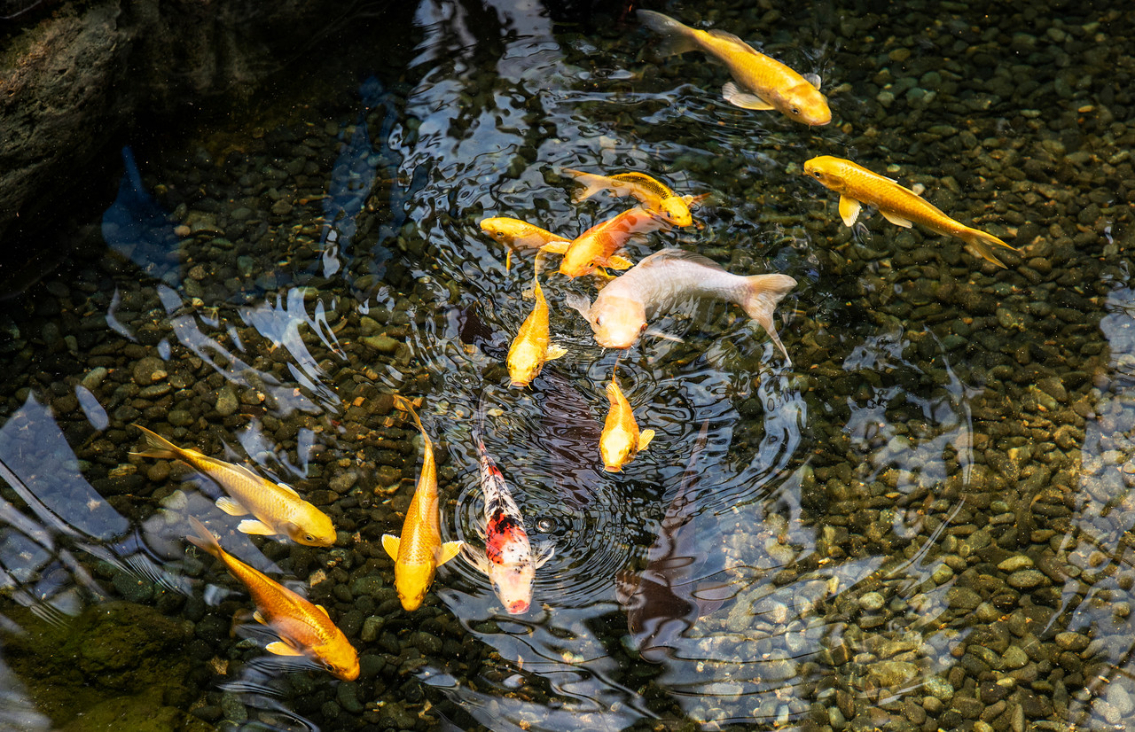 <span style="font-weight: bold; letter-spacing: 2px;">테마1</span><br><span style="font-size: 18px">아열대 식물원