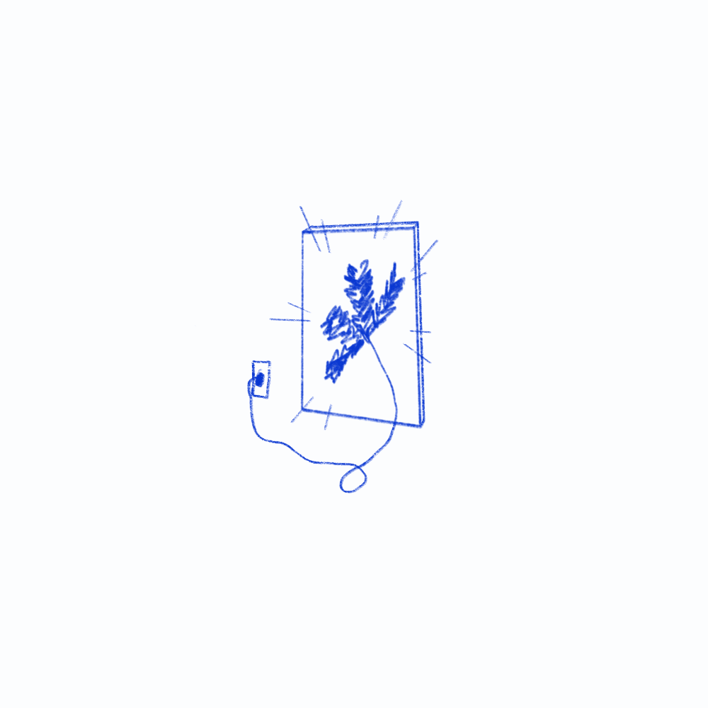 "Lightning Cactus" / Digital GIF / 2020