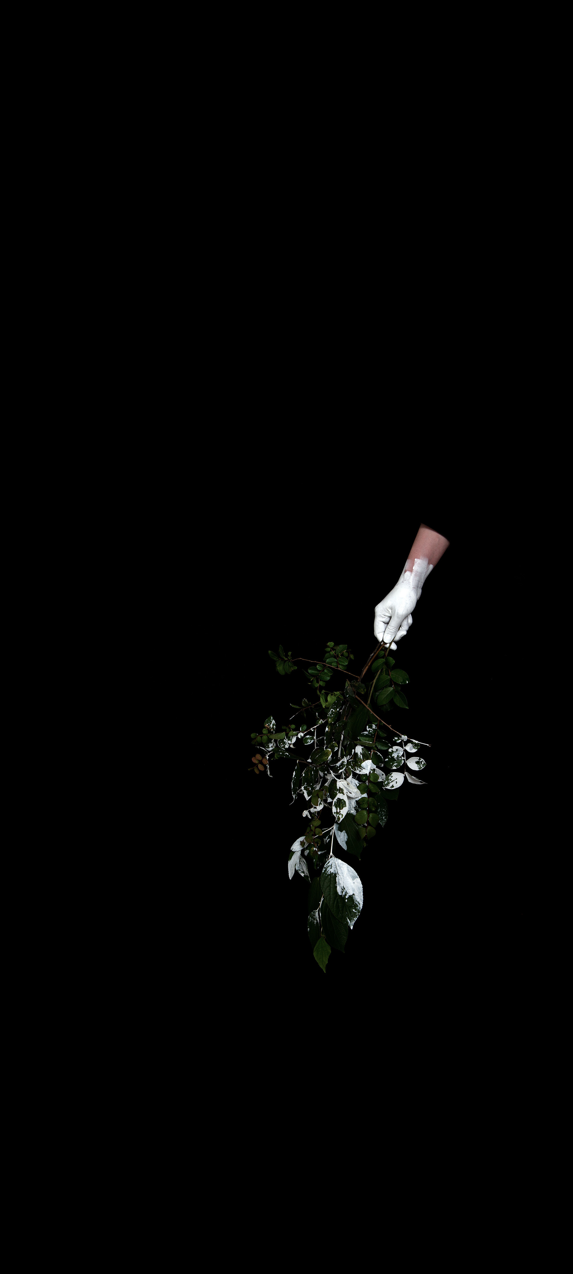 "Another White #2" / 2020 / 180x400cm / print on film, light