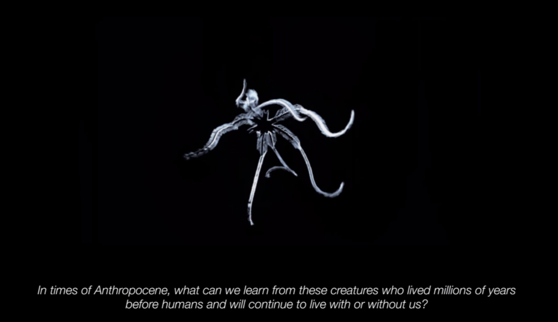 "EXTENDED-NATURE VIDEO03"