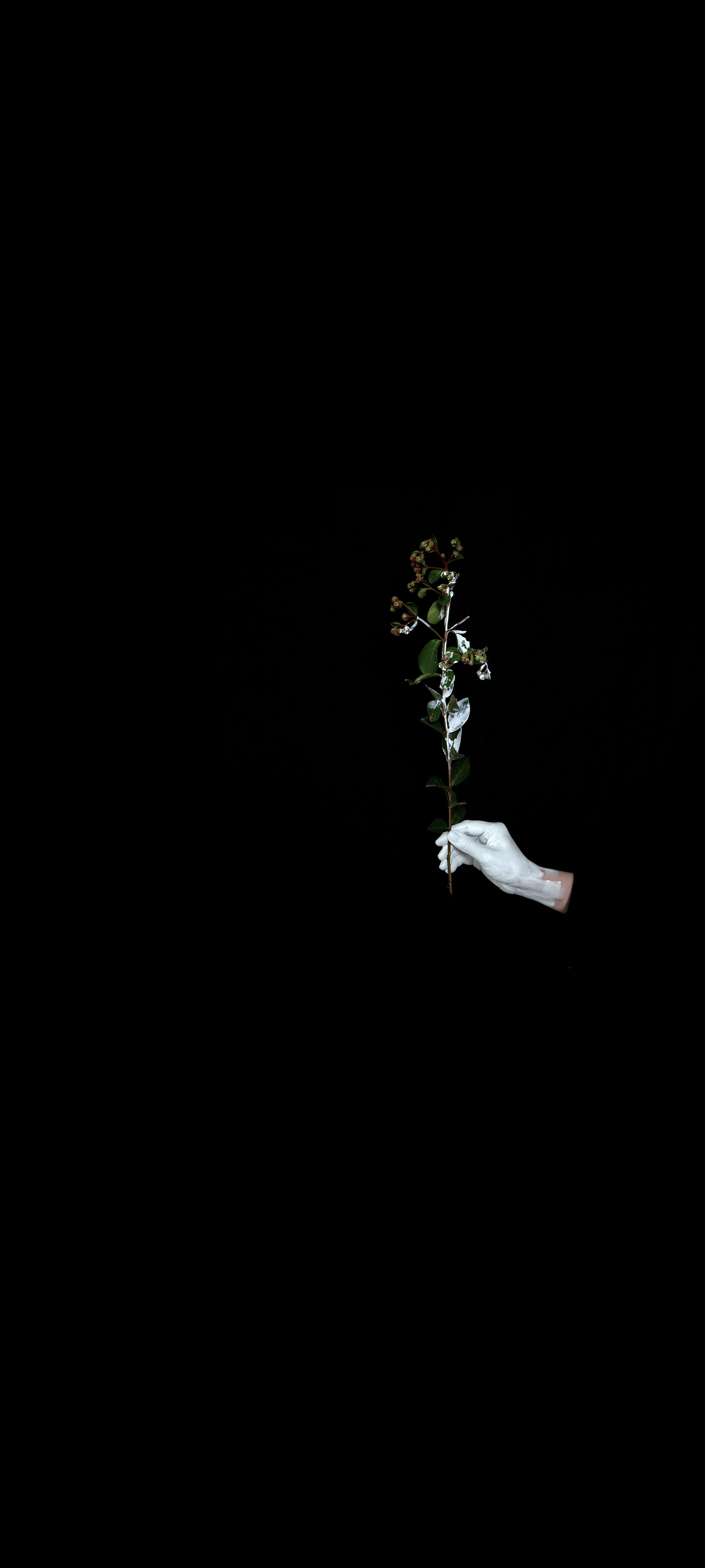 "Another White #3" / 2020 / 180x400cm / print on film, light