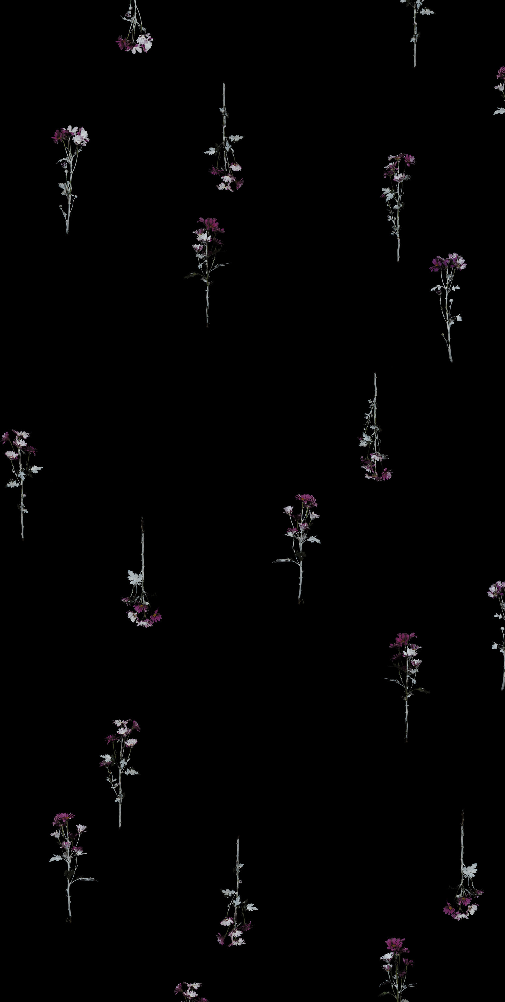 "Blanc.Black.Blank #1" / 2020 / 126x250cm / print on film, light
