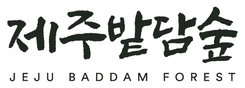 제주밭담숲