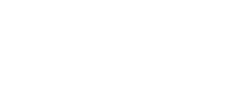 제주밭담숲