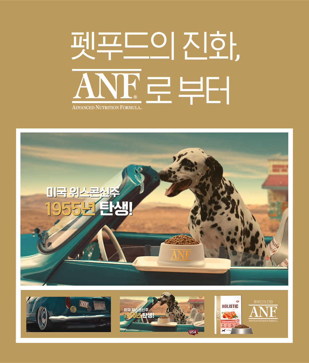 [유통기한 23.3.1]ANF 캣 식스프리 어덜트 6kg 상세 이미지 2