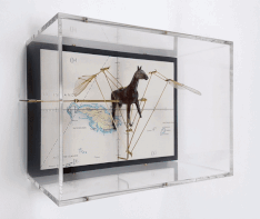 Jane Edden, Direction Point, 2019, Mixed media, lead horse, insect wings, brass mechanism in perspex box, 15 x 20 x 10 cm, JE 010