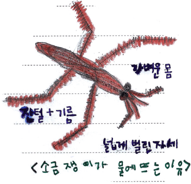 소금쟁이야, 너는 알면 알수록 멋지고 신비로운 친구구나! : 와이즈만북스