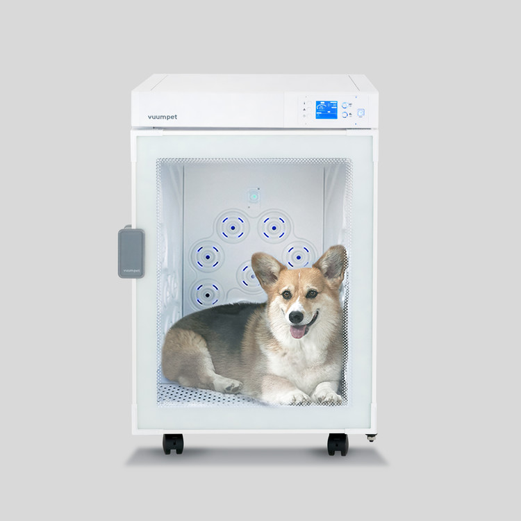 강아지 드라이룸, 붐펫 k100 애견 드라이룸 털말리기 꿀템! 3