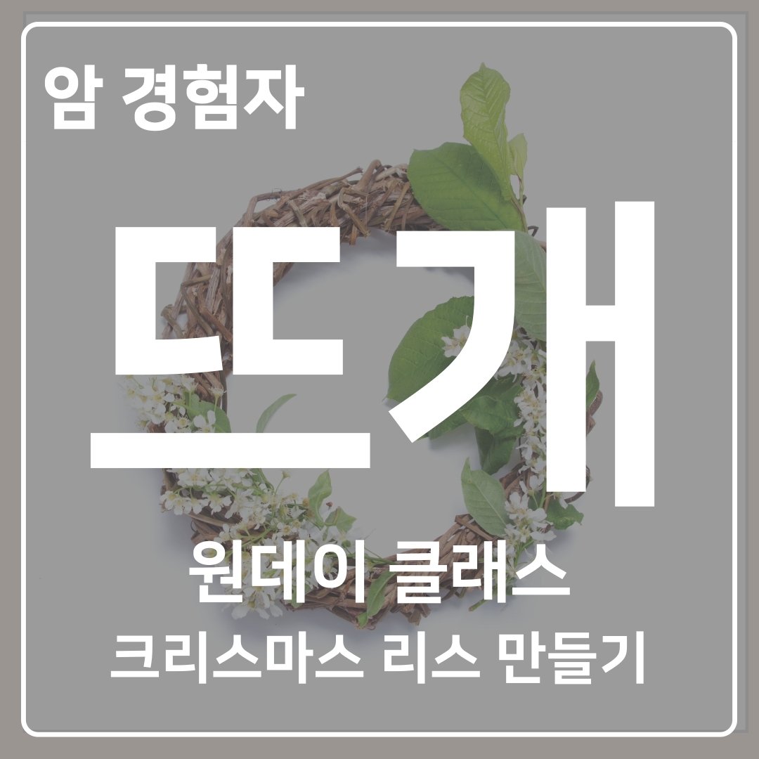 기획전 이미지