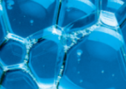 Surfactant Development