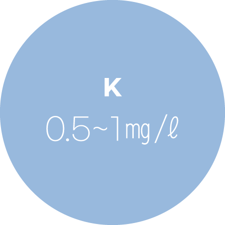 <span style="font-size: 18px; color: rgb(44, 130, 201);">칼륨</span>