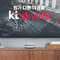 KT Skylife TV