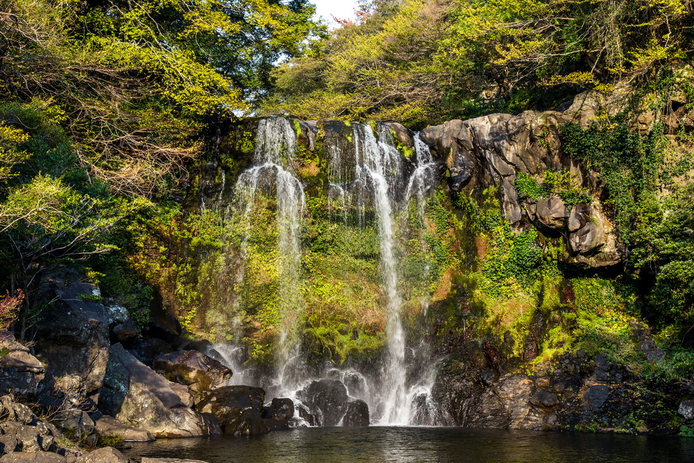 @visitjeju.net