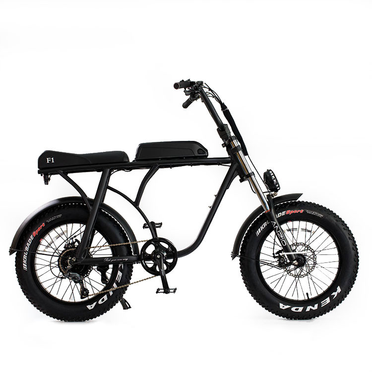 ebike f1