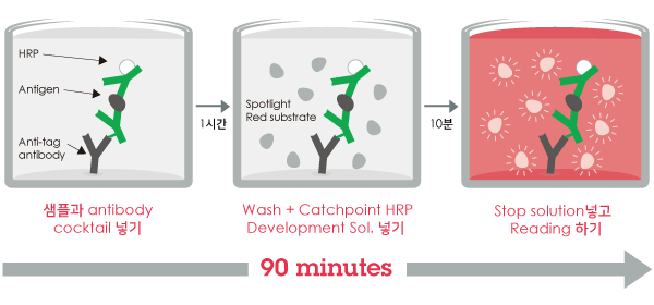 CatchPoint® SimpleStep ELISA® Kits : Abcam 제품 소개
