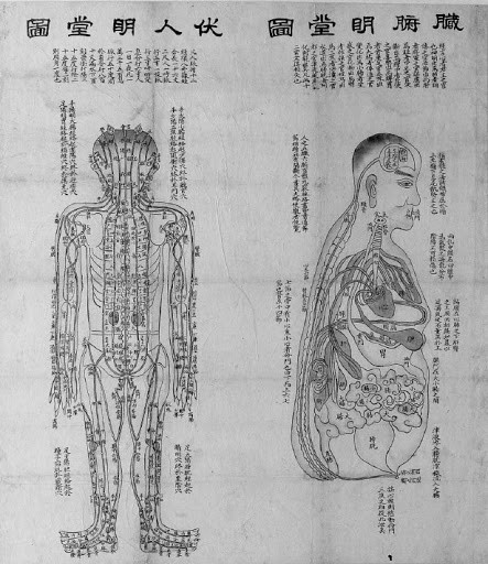 한의학과 국악접목 한의사 김영록 씨