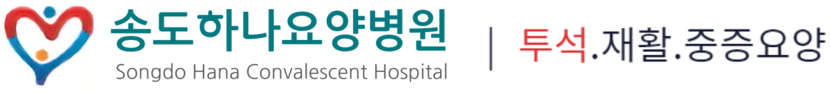 송도하나요양병원