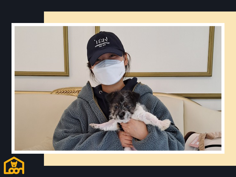 시츄 믹스 토토 책임분양 시츄무료분양 새끼고양이 강아지임시보호소 시츄분양가 시바 실버토이푸들 랙돌고양이 빠삐용강아지 : 빅토리아펫보호소 입양완료 시츄 믹스 토토 책임분양 시츄무료분양 새끼고양이 강아지임시보호소 시츄분양가 시바 실버토이푸들 랙돌고양이 빠삐용강아지 : 빅토리아펫보호소 입양완료