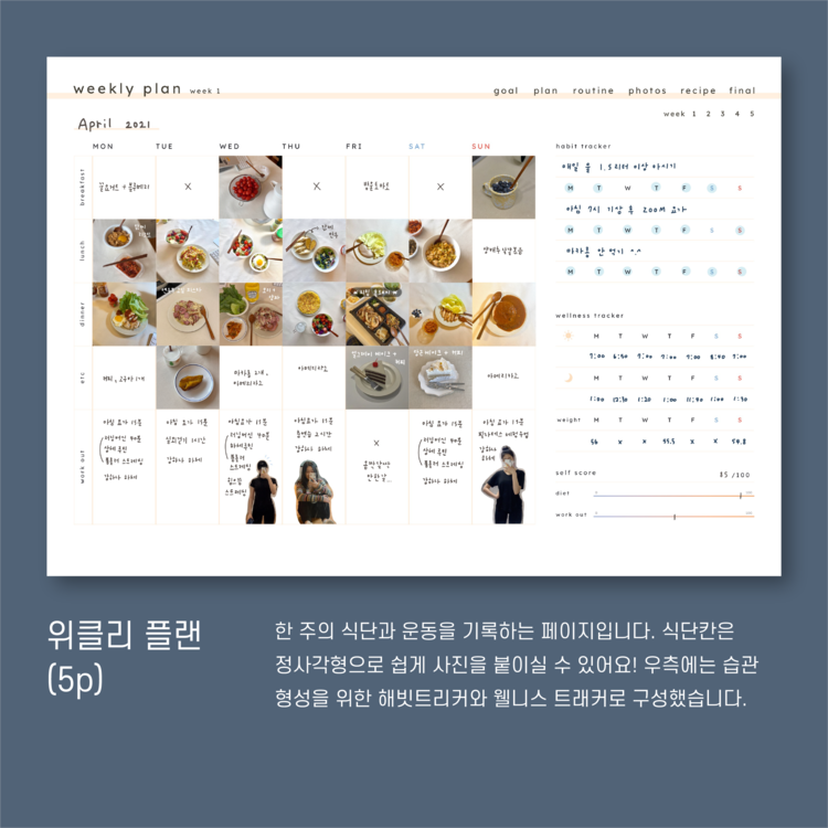 New 다이어트 플래너 만년형 1인용 / 아이패드 굿노트 Diet Planner 운동기록 식단일기 Pdf : 트리비 스튜디오