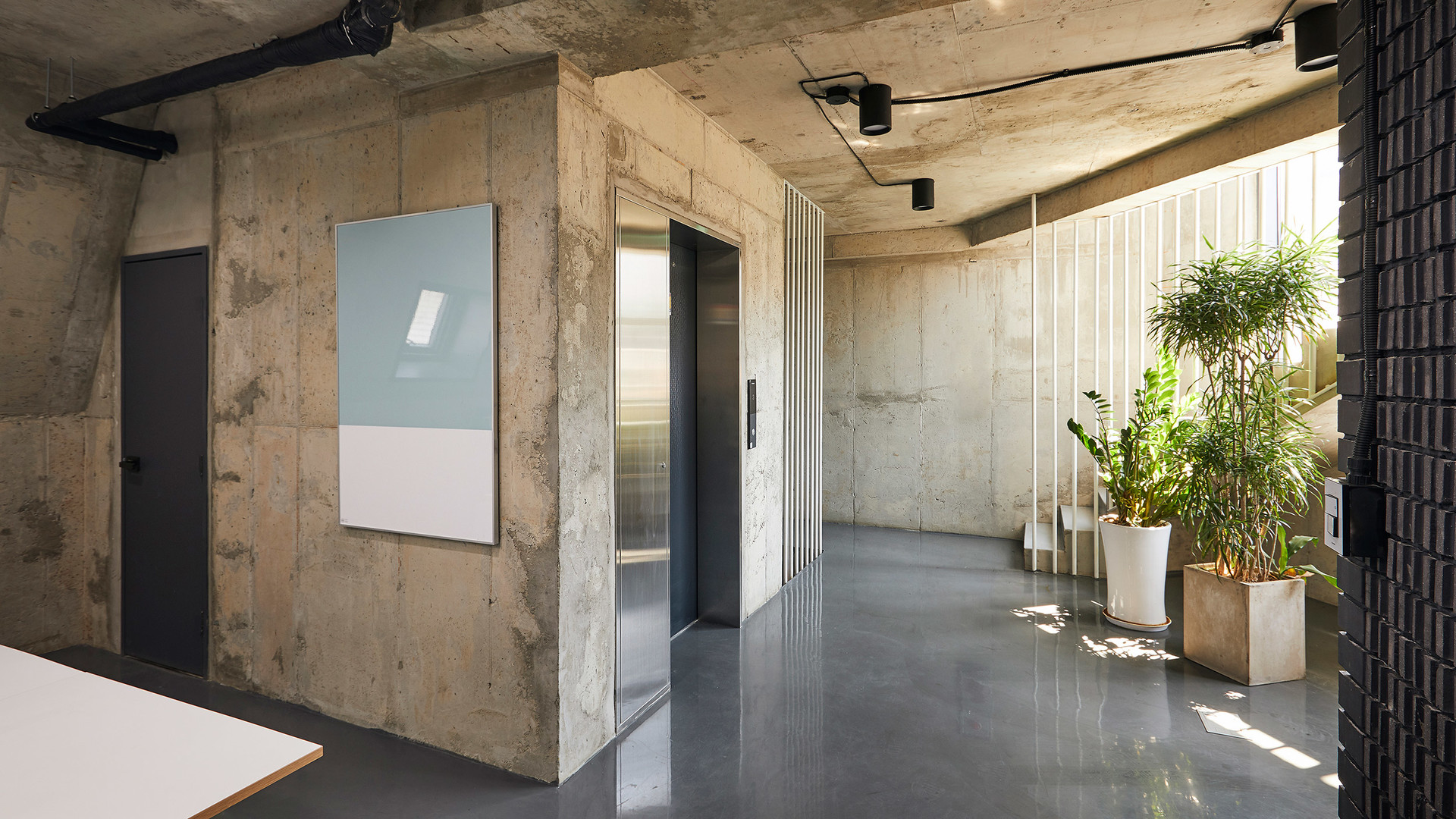 Z studio