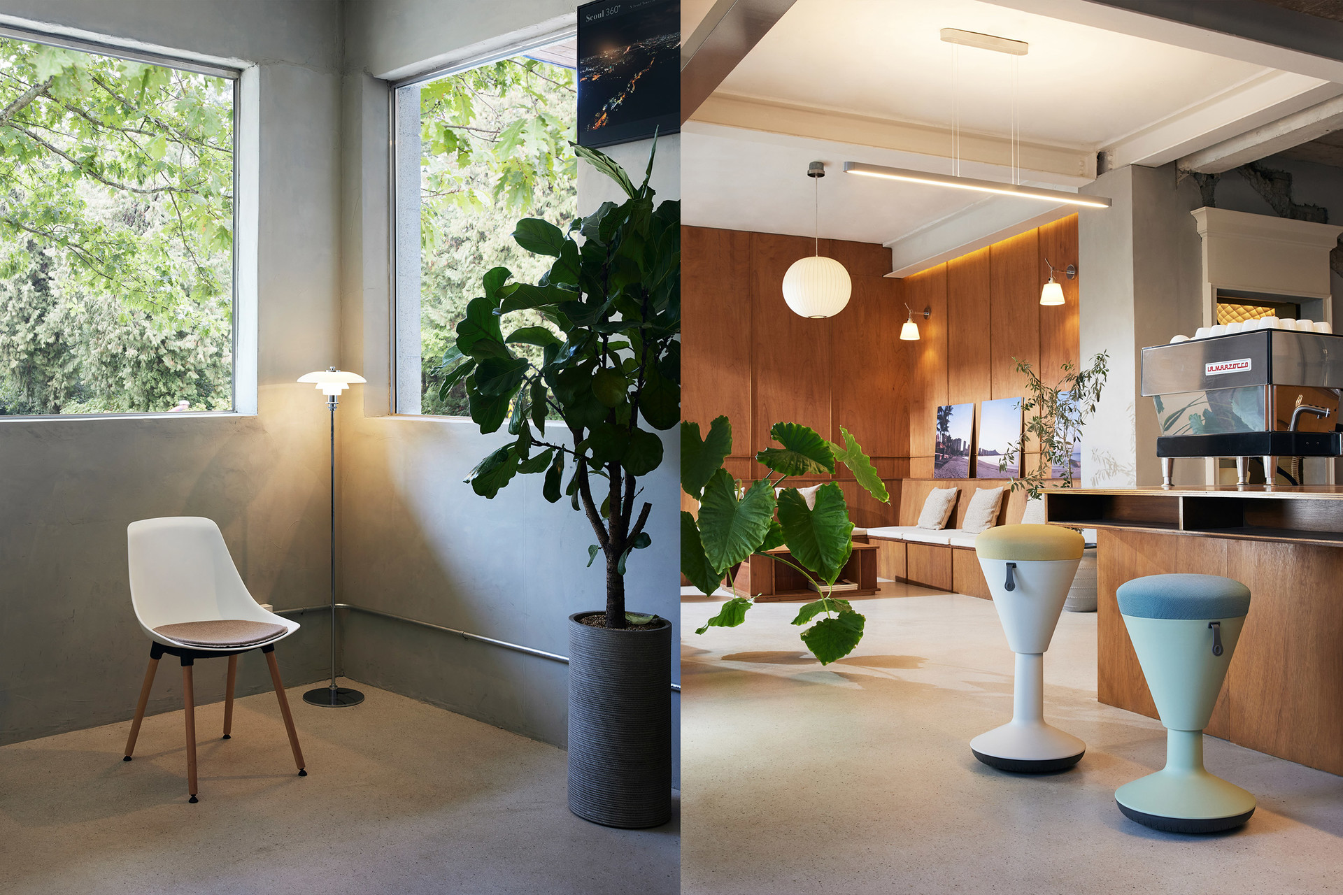 Z studio