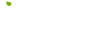 J young cosmetic