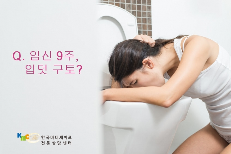 임신9주입덧으로 구토, 임신 준비중 부부 영양제 : 임산부약물정보센터 · 마더세이프