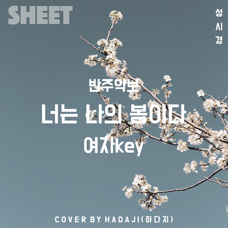 성시경 - 너는나의봄이다 반주악보 | (A-B 남자Key) : 하다지 Mr