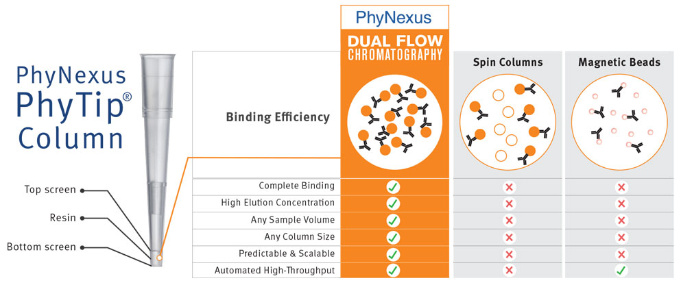 PhyNexus's PhyTip Columns