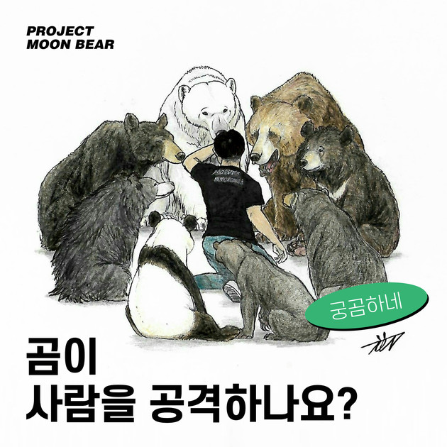 회색곰 먹는 사람