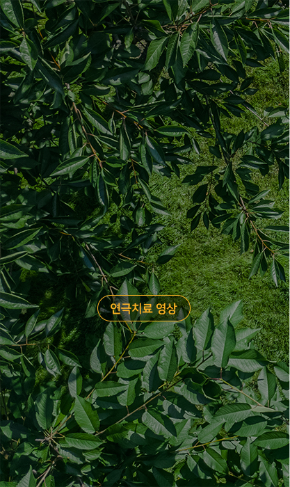 <br><br><br><br><br><br><br><br><br><br><br><br><br><p style="text-align: center;"><span style="font-size: 14px; letter-spacing: -1px; color: rgb(221, 221, 221);">───────────────</span></p>  <h6 style="text-align: center;"><span style="font-size: 18px; color: rgb(255, 255, 255);">마음을 읽는 연극 치료 프로그램</span></h6>  <p style="text-align: center;"><span style="font-size: 14px; letter-spacing: -1px; color: rgb(221, 221, 221);">────────────────</span></p>  <p style="text-align: center;line-height:3.5;"><span style="font-size: 20px; color: rgb(255, 255, 255);">비대면 온라인 연극으로 치료해요.</span></p>