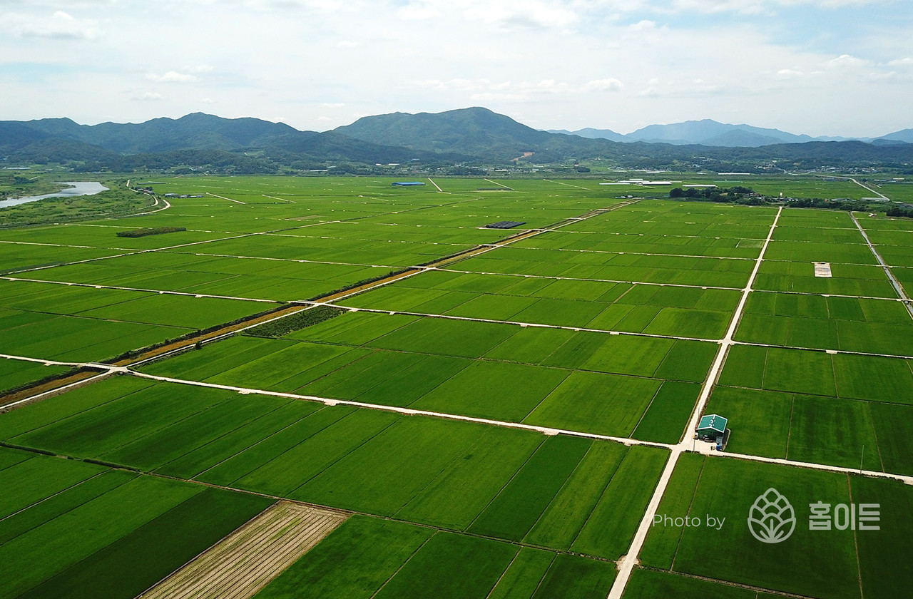 경북 의성군 서부에 위치한 곡창지대 안개평야(1000ha)