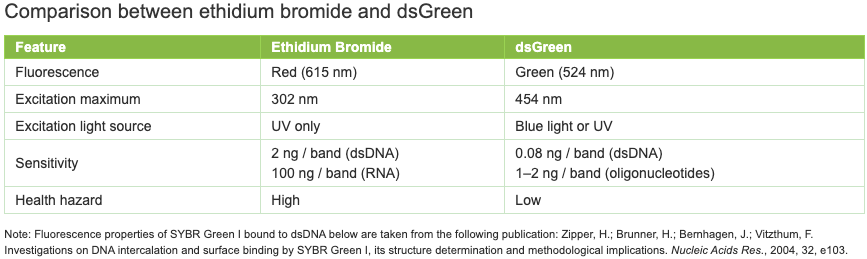 dsGreen Gel Staining Solution, 10000× : LumiProbe Life Science Solutions