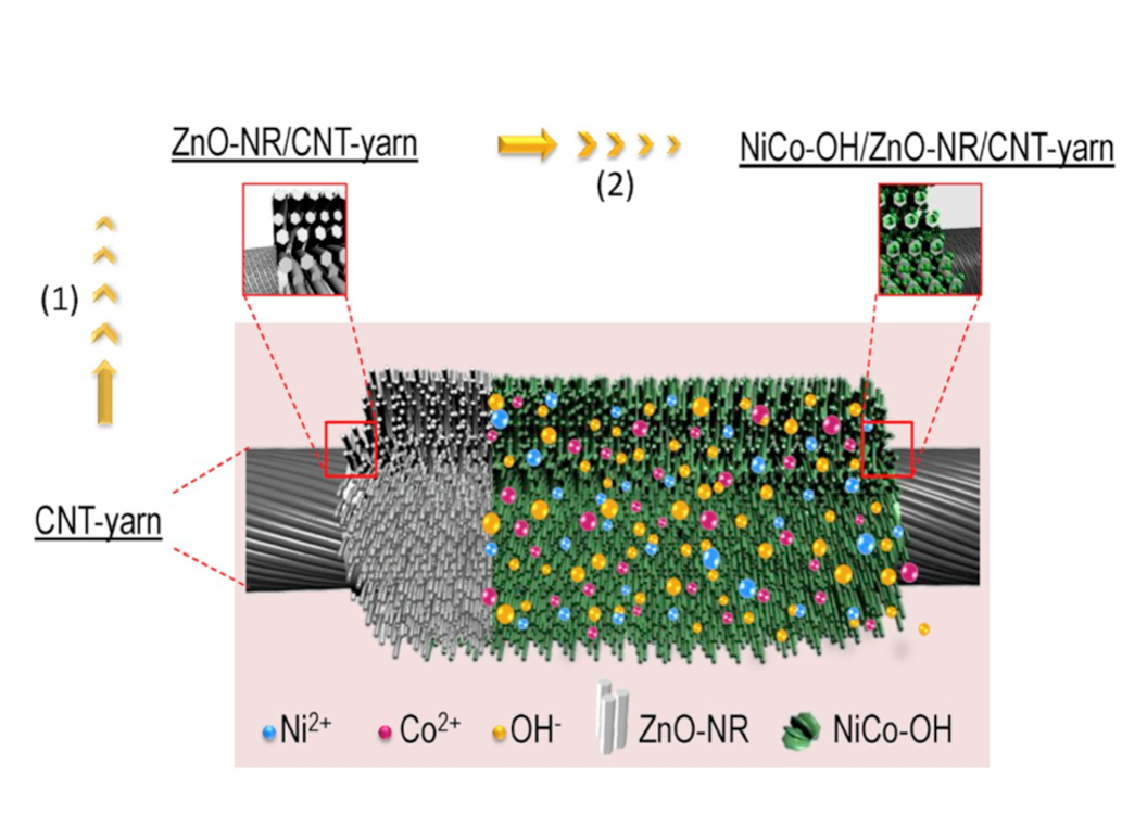 Carbon Nanotube