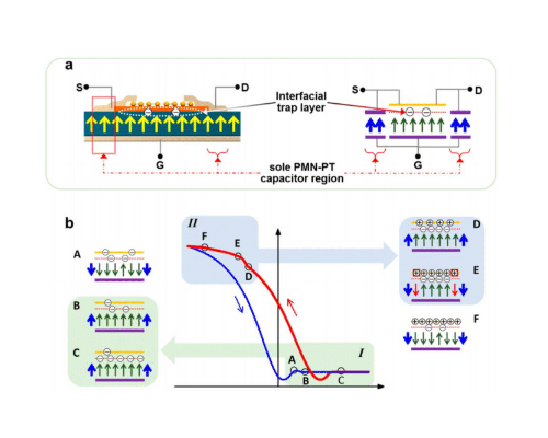 Carbon Nanotube